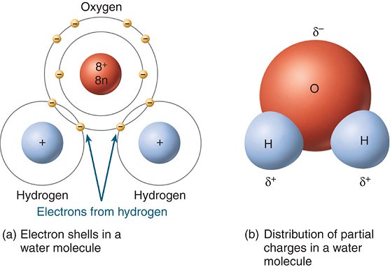 oxygen charge in water