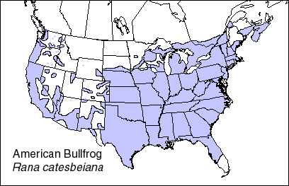 Map of places in North America that the bullfrog lives, credit to wikipedia.org