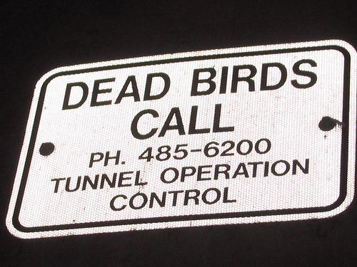 Dead Birds Sign
