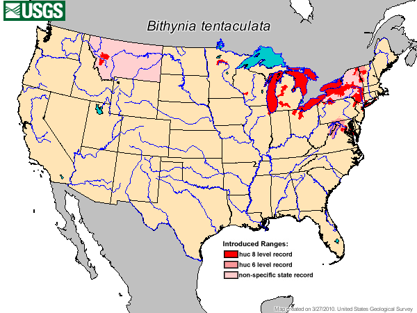 Native Range of Bithynia tentaculata in the United States
