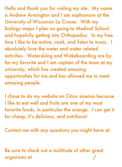 Hello and thank you for visiting my site.  My name is Andrew Armington and I am sophomore at the University of Wisconsin La Crosse.  With my biology major I plan on going to Medical School and hopefully getting into Orthopedics.  In my free time I like to be active, cook, and listen to music.  I absolutely love the water and water related activities.  Waterskiing and Wakeboarding are by far my favorite and I am captain of the team at my university, which has created amazing opportunities for me and has allowed me to meet amazing people.

I chose to do my website on Citrus sinensis because I like to eat well and fruits are one of my most favorite foods, in particular the orange.  I can get it for cheap, it’s delicious, and nutritious!  

Contact me with any questions you might have at armingto.andr@uwlax.edu

Be sure to check out a multitude of other great organisms at http://multipleorganisms.net/