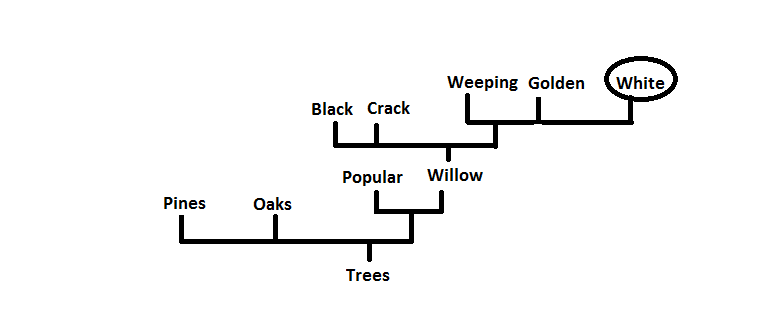 A tree based on relatedness of species