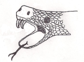 pit viper drawing