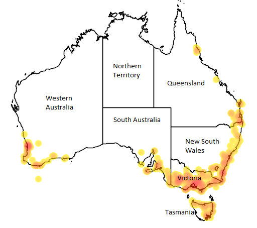 Picture provided by Atlas of Living Australia. 