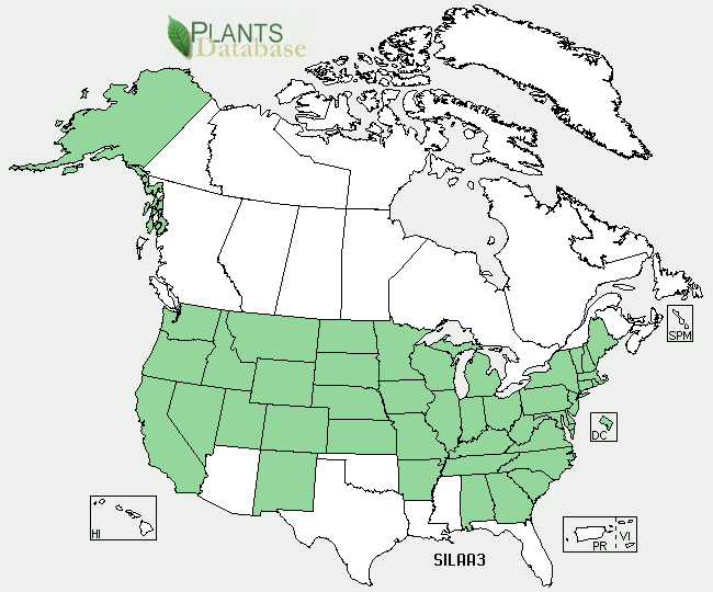 Map depicting the states in North America that are populated by Silene Latifolia. No Permission needed by USDA.GOV