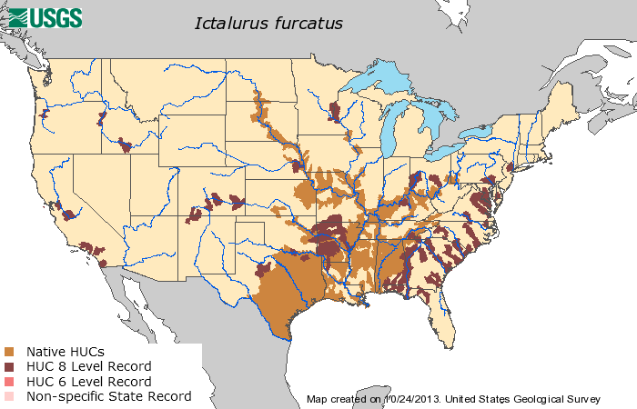 map of where blue catfish can be found in the United States