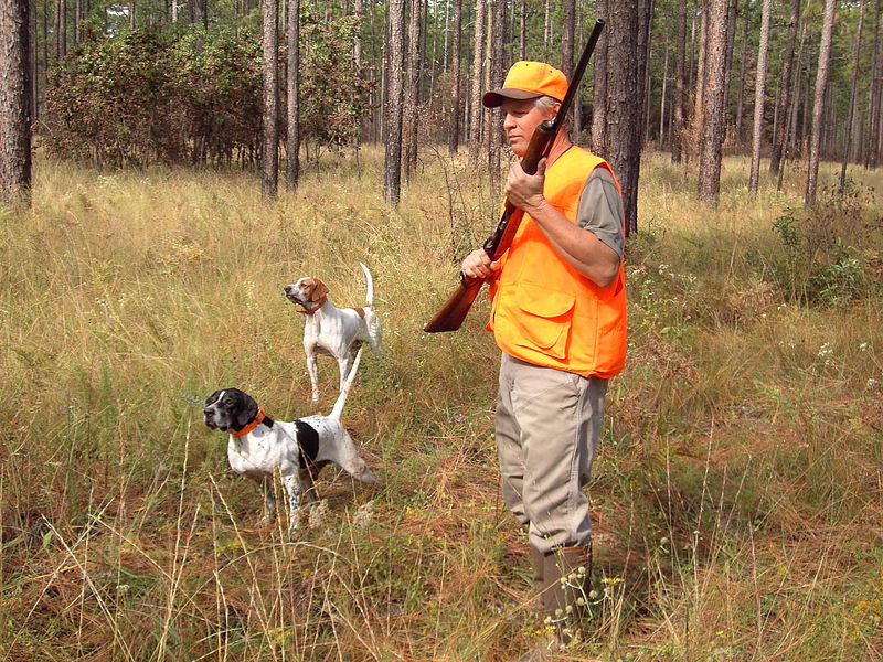 A hunter with his dogs.