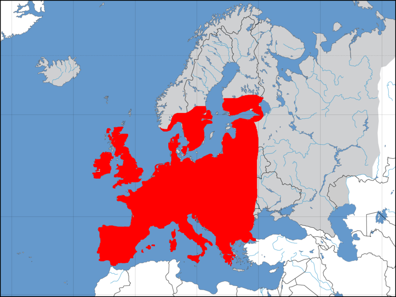Map of Europe indicating locations of Aleochara species