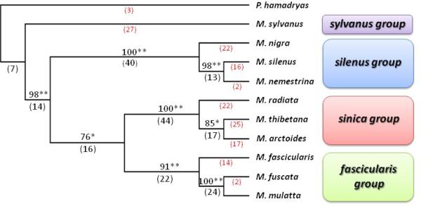 Taxonomic tree 2