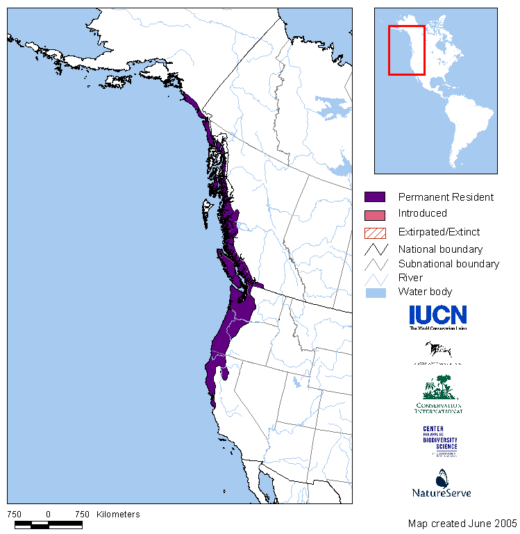 Range distribution map of the Rough-skinned Newt in North America. Data developed as part of the Global Amphibian Assessment and provided by IUCN-World Conservation Union, Conservation International and NatureServe. 2004.