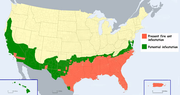 Red Imported Fire Ant infestation map courtesy of the United State Department of Agriculture http://www.ars.usda.gov/sites/fireants/Imported.htm