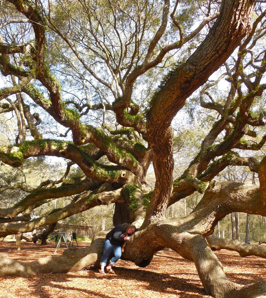 Abby with the Angle Oak tree in South Carolina