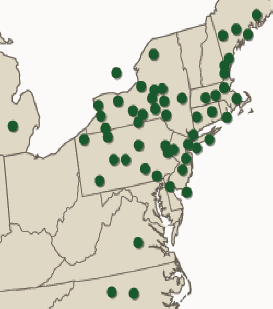 Map of Habitat of Photinus ignitus in northeastern United States courtesy of Don Salvatore