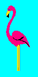 Dipping Flamingo