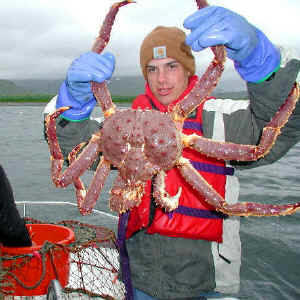Caleb Parker with an Alaskan King Crab.  -picture taken by Fronty Parker