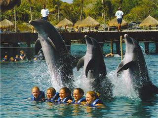 My sisters and myself with dolphins.