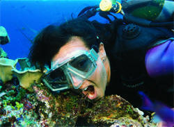 Diver's mouth is being cleaned by Cleaner Shrimp Photo by MacGillivray Freeman's Coral Reef Adventure