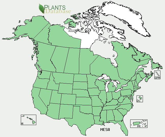 www.plants.usda.gov