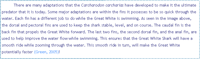 Text Box: 	There are many adaptations that the Carcharodon carcharias have developed to make it the ultimate predator that it is today. Some major adaptations are within the fins it possesses to be so quick through the water. Each fin has a different job to do while the Great White is swimming. As seen in the image above,  the dorsal and pectoral fins are used to keep the shark stable, level, and on course. The caudal fin is the back fin that propels the Great White forward. The last two fins, the second dorsal fin, and the anal fin, are used to help improve the water flow while swimming. This ensures that the Great White Shark will have a smooth ride while zooming through the water. This smooth ride in turn, will make the Great White potentially faster (Green, 2005)!