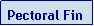 Text Box: Pectoral Fin