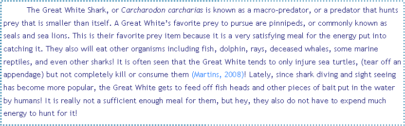 Text Box: 	The Great White Shark, or Carcharodon carcharias is known as a macro-predator, or a predator that hunts prey that is smaller than itself. A Great White’s favorite prey to pursue are pinnipeds, or commonly known as seals and sea lions. This is their favorite prey item because it is a very satisfying meal for the energy put into catching it. They also will eat other organisms including fish, dolphin, rays, deceased whales, some marine reptiles, and even other sharks! It is often seen that the Great White tends to only injure sea turtles, (tear off an appendage) but not completely kill or consume them (Martins, 2008)! Lately, since shark diving and sight seeing has become more popular, the Great White gets to feed off fish heads and other pieces of bait put in the water by humans! It is really not a sufficient enough meal for them, but hey, they also do not have to expend much energy to hunt for it!