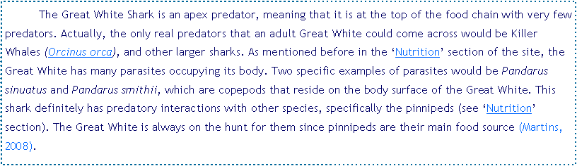 Text Box: 	The Great White Shark is an apex predator, meaning that it is at the top of the food chain with very few predators. Actually, the only real predators that an adult Great White could come across would be Killer Whales (Orcinus orca), and other larger sharks. As mentioned before in the ‘Nutrition’ section of the site, the Great White has many parasites occupying its body. Two specific examples of parasites would be Pandarus sinuatus and Pandarus smithii, which are copepods that reside on the body surface of the Great White. This shark definitely has predatory interactions with other species, specifically the pinnipeds (see ‘Nutrition’ section). The Great White is always on the hunt for them since pinnipeds are their main food source (Martins, 2008).  