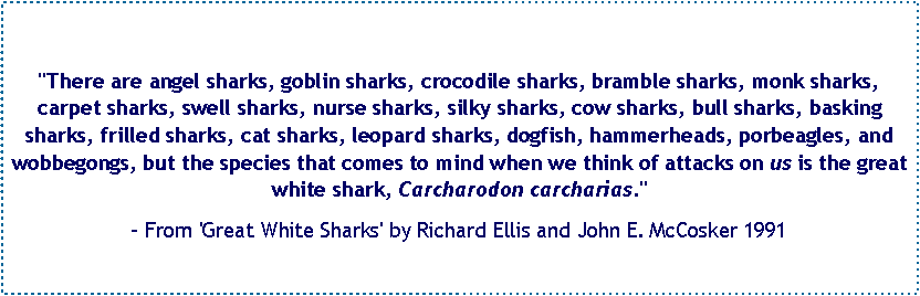 Text Box: "There are angel sharks, goblin sharks, crocodile sharks, bramble sharks, monk sharks, carpet sharks, swell sharks, nurse sharks, silky sharks, cow sharks, bull sharks, basking sharks, frilled sharks, cat sharks, leopard sharks, dogfish, hammerheads, porbeagles, and wobbegongs, but the species that comes to mind when we think of attacks on us is the great white shark, Carcharodon carcharias." - From 'Great White Sharks' by Richard Ellis and John E. McCosker 1991 