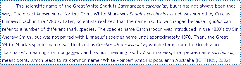 Text Box: 	The scientific name of the Great White Shark is Carcharodon carcharias, but it has not always been that way. The oldest known name for the Great White Shark was Squalus carcharias which was named by Carolus Linnaeus back in the 1780’s. Later, scientists realized that the name had to be changed because Squalus can refer to a number of different shark species. The species name Carcharodon was introduced in the 1830’s by Sir Andrew Smith, but was not paired with Linnaeus’s species name until approximately 1870. Then, the Great White Shark’s species name was finalized as Carcharodon carcharias, which stems from the Greek word ‘karcharos’, meaning sharp or jagged, and ‘odous’ meaning tooth. Also in Greek, the species name carcharias, means point, which leads to its common name ‘White Pointer’ which is popular in Australia (ICHTHOS, 2002).