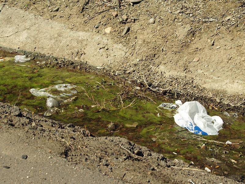 A photo of a polluted ditch, which bacteria could help remediate.