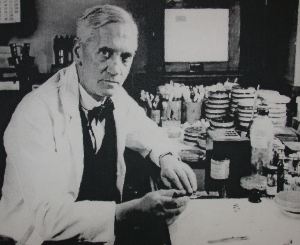 Alexander Fleming - from Tom Volk - Mycology- University of Wisconsin, La Crosse