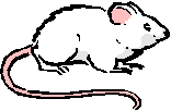 Clip Art - White Mouse