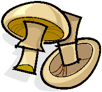 Clip Art- Mushroom four
