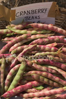http://www.istockphoto.com/file_thumbview_approve/2191712/2/istockphoto_2191712_cranberry_beans.jpg