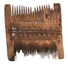 An ancient comb used to detect lice, photo courtesy of Kosta Y. Mumcuoglu.