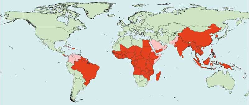 www.who.int/ctd/filariasis/library/countries3.html