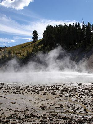Image of steam found at Wikipedia.org