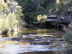 Image of stream found at Wikipedia.org