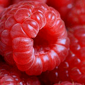 picture courtesy of http://www.boostjuicebars.com/images/content/L_3B_020-raspberry.jpg