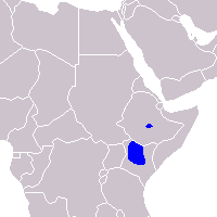 Image located at http://en.wikipedia.org/wiki/Grevy%27s_zebra