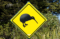 Kiwi Crossing Sign