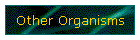 Other Organisms