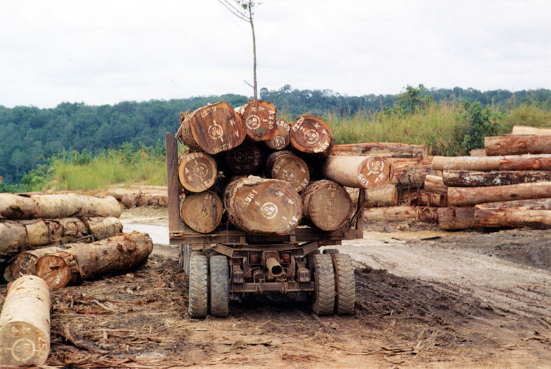A logging truck loaded with logs, in Africa