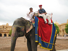 Dad atop his elephant at the Amber Fort in Jaipur taken from http://www.flickr.com/photos/mckaysavage/1037160492/