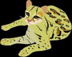 Clip Art of African bush cat
