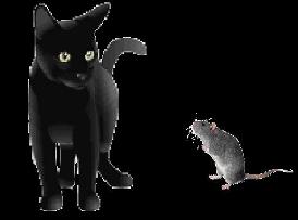 Clip Art cat and mouse