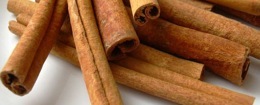 Photo by TopTropicals. Cinnamon's long slender shoots furnish the bark which becomes the quills see here.