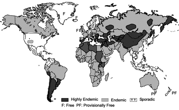 Global Distribution of E. Granulosus obtained from www.cdc.gov