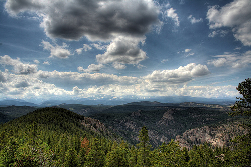 View of the Rocky Mountain greenery