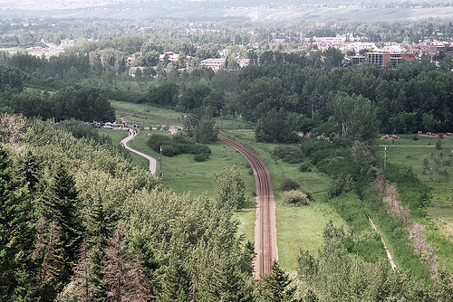 Douglas Fir trail in Canada
