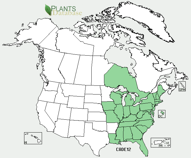 US Distribution Map <http://plants.usda.gov/java/profile?symbol=CADE12>